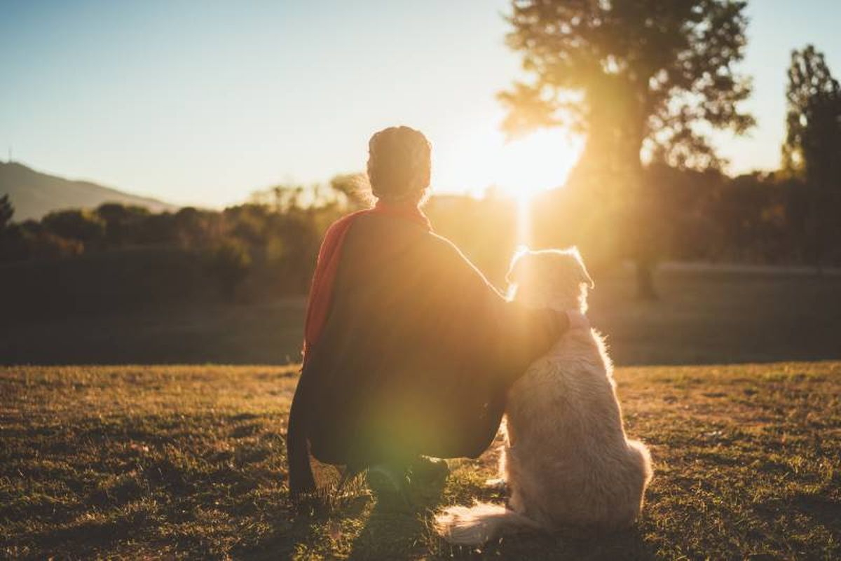 Con este descubrimiento, se pretende abrir una nueva etapa dentro de la medicina veterinaria.