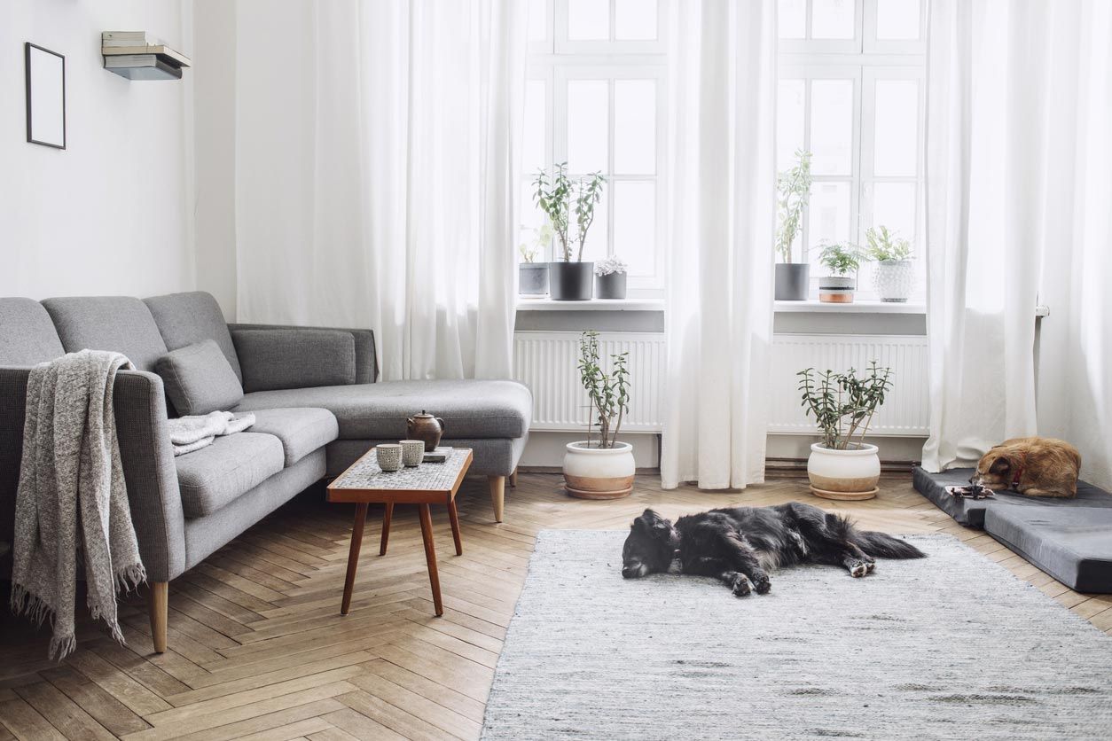 como crear armonia en decoracion grises y verdes