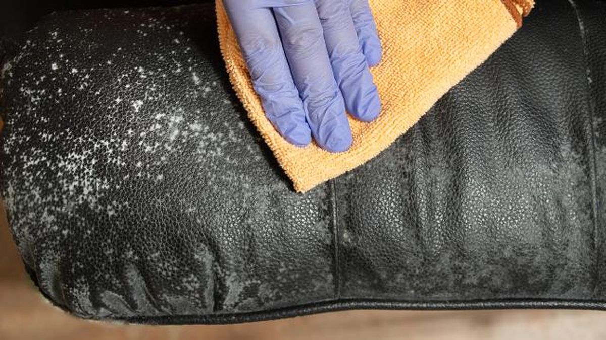 Manchas de moho en un sofá de piel