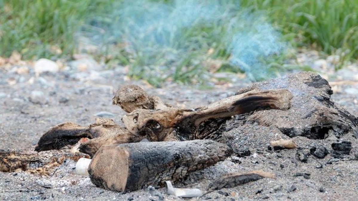 hogueras san juan precaucion 2