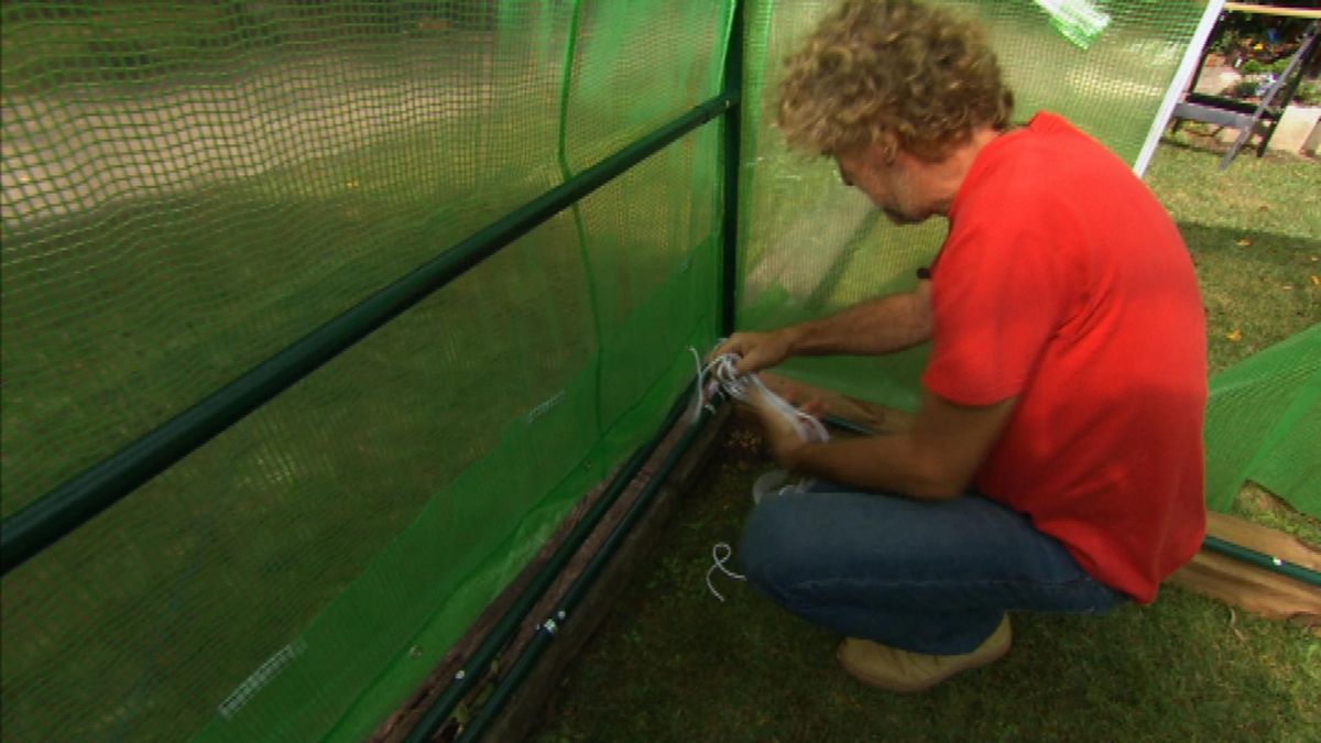 Invernadero en kit paso 9