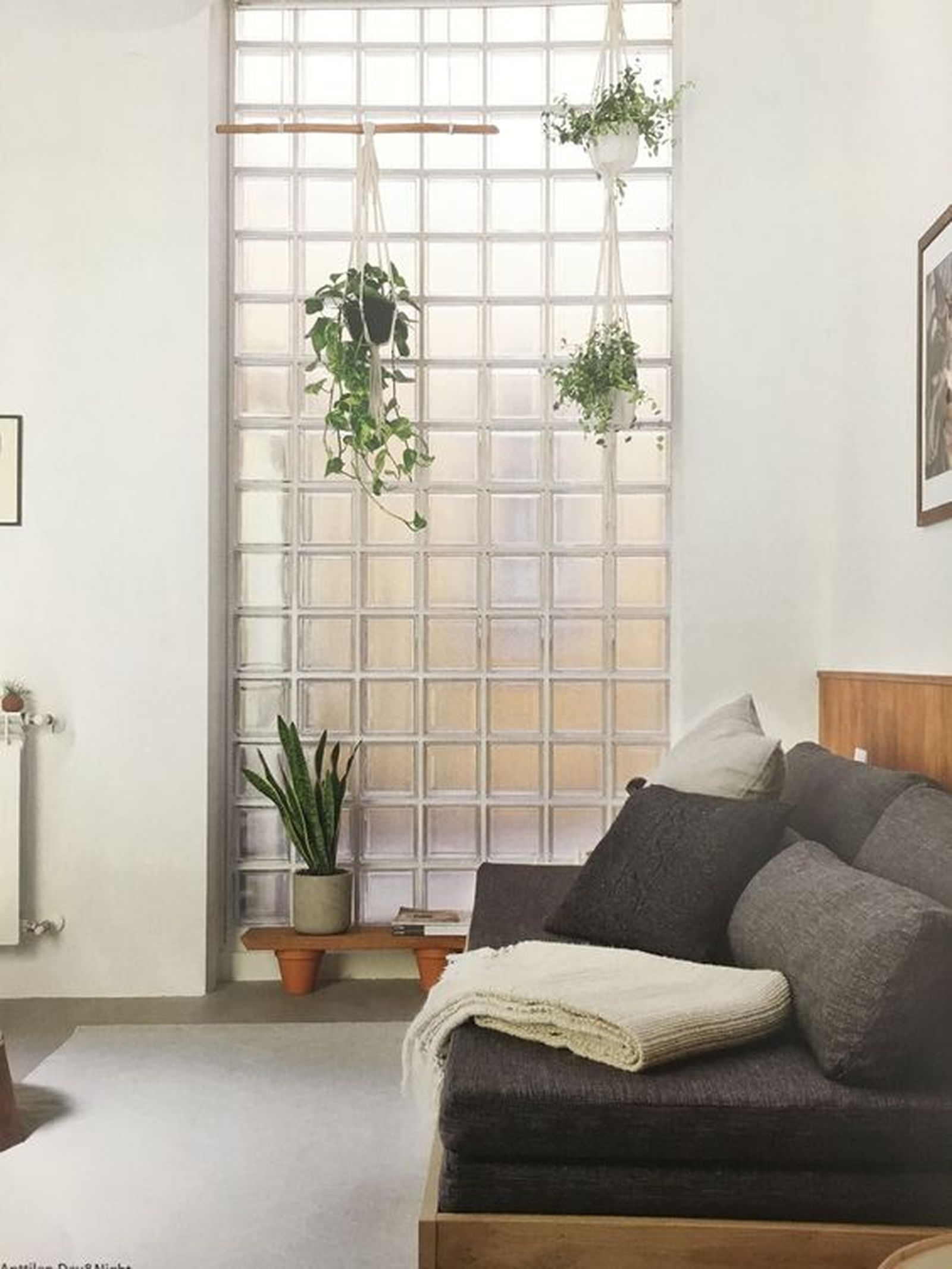 paves dividir salon