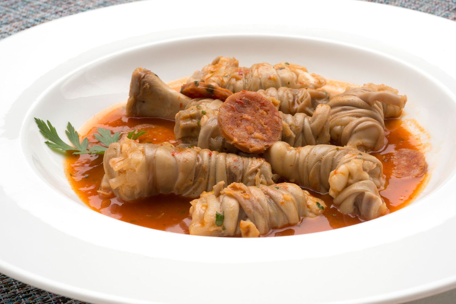 5803 patorrillo receta regional xl