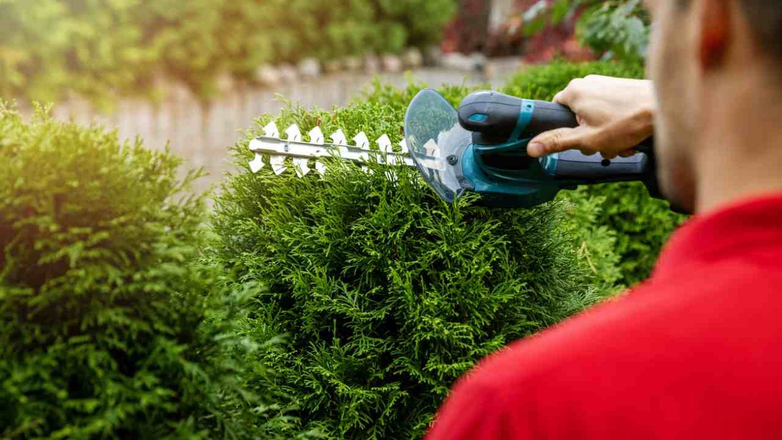 herramientas lidl para cuidar jardin xl