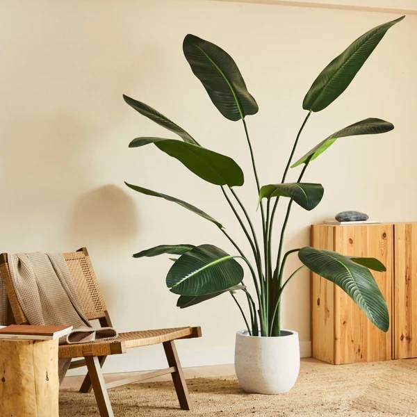 Strelitzia artificial blaine
