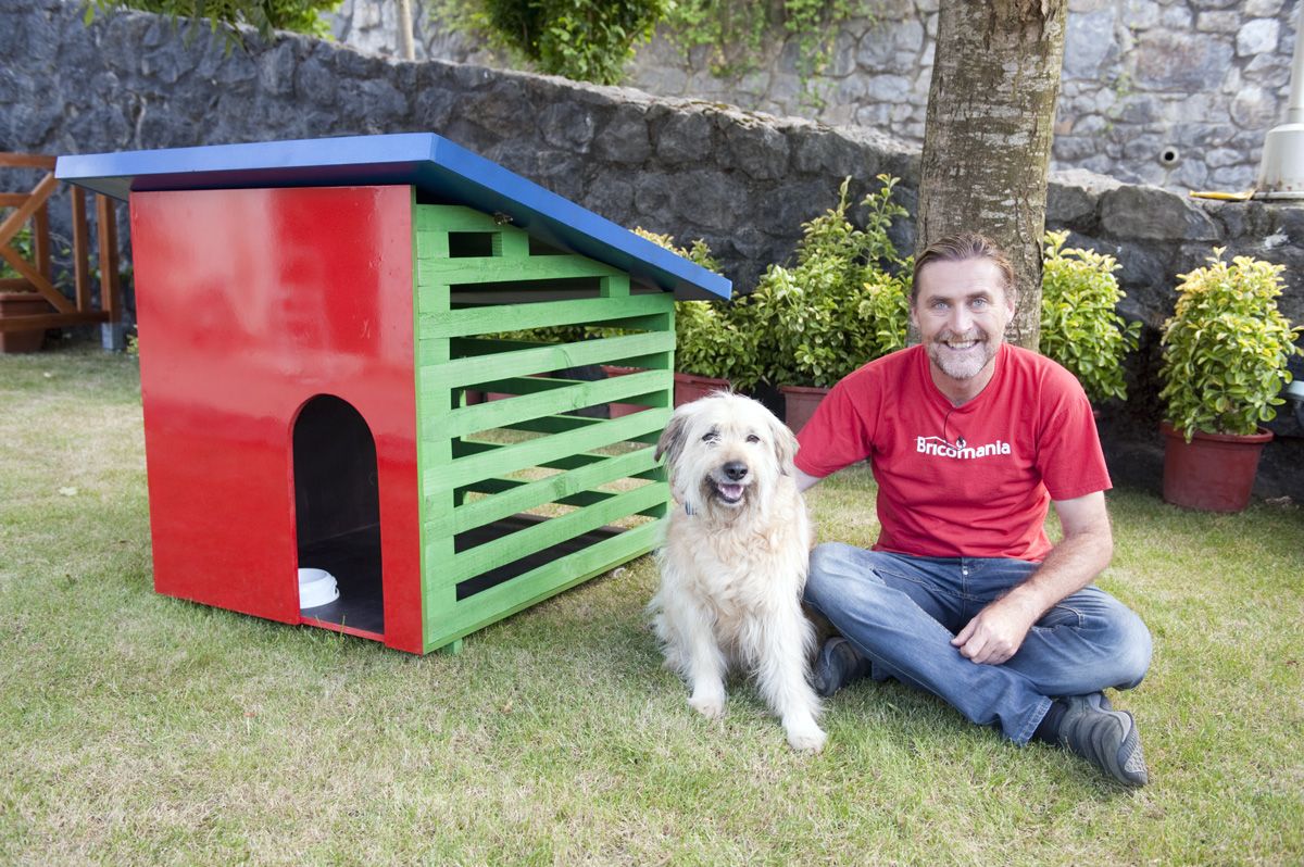 Caseta de perro paso 11