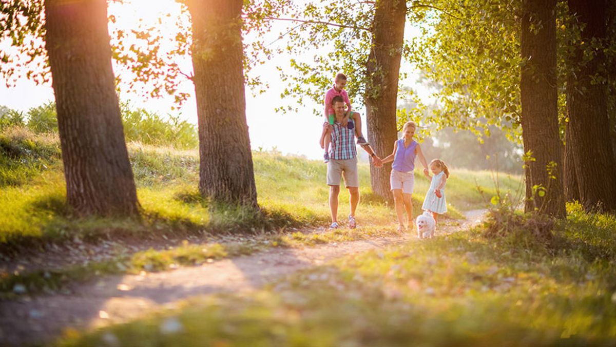 planes primavera familia 1