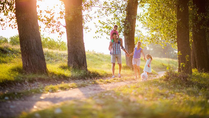 planes primavera familia 1