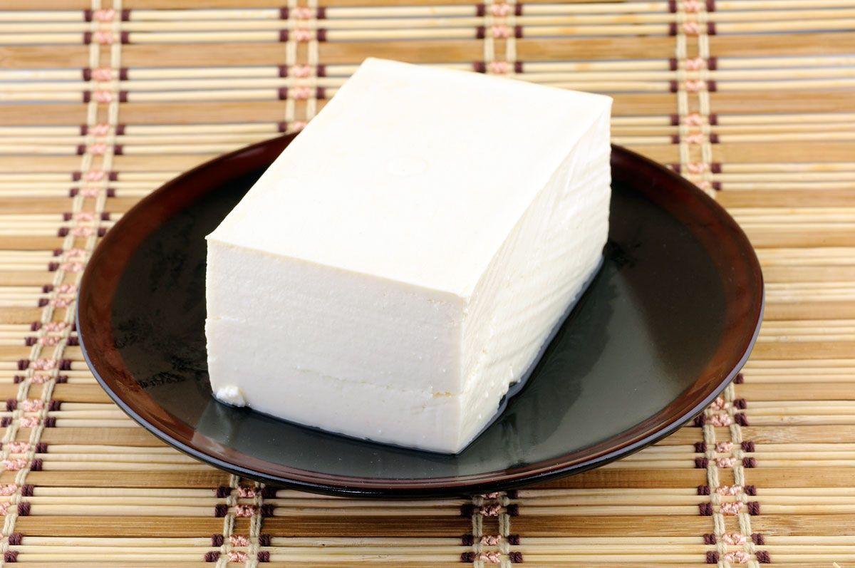 tofu 2 xl