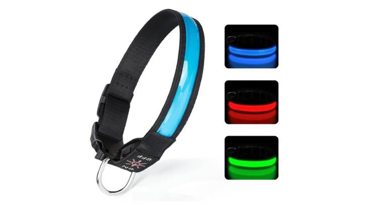 collar led perro tenxsnug amazon