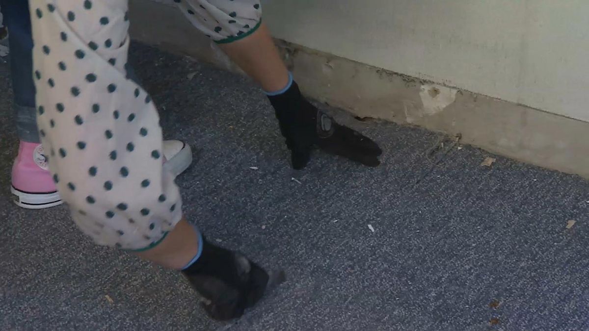 como quitar una moqueta paso 2