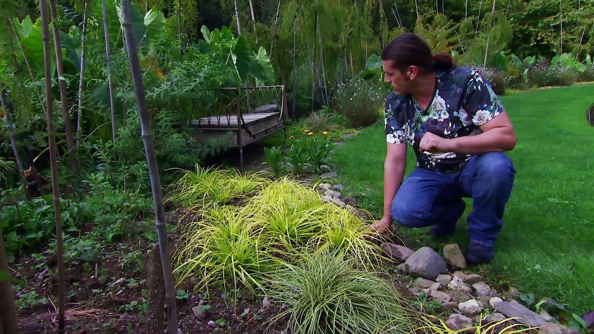 DEKO_JARDIN_633_Carex everillo jardin inigo