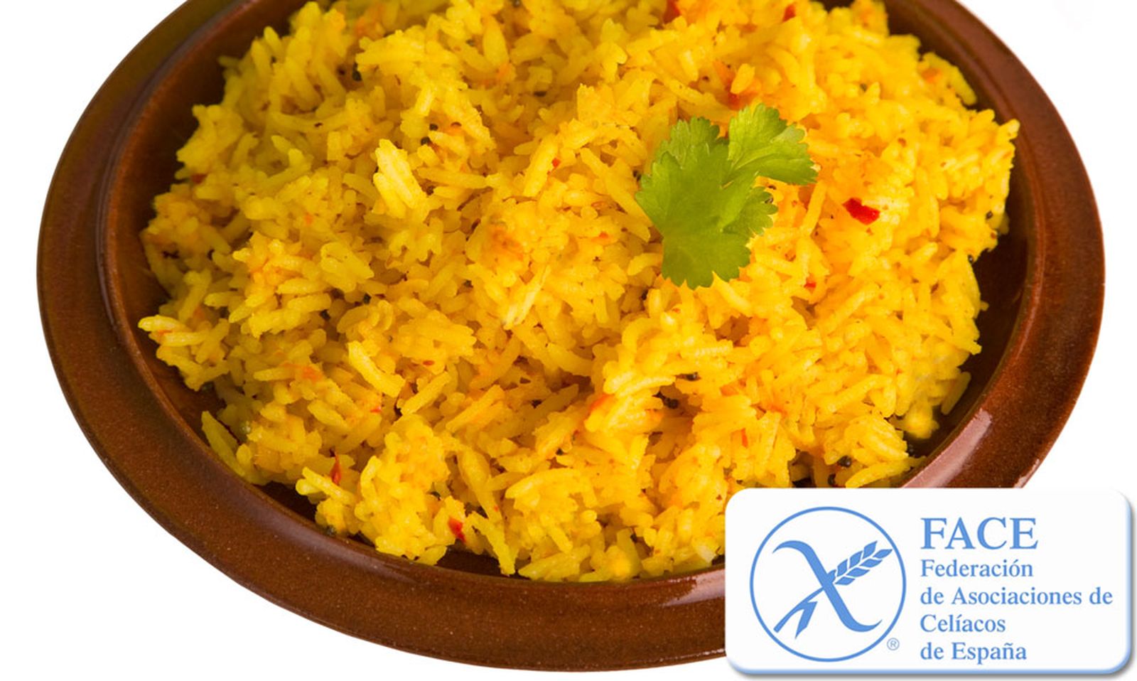 arroz a banda xl
