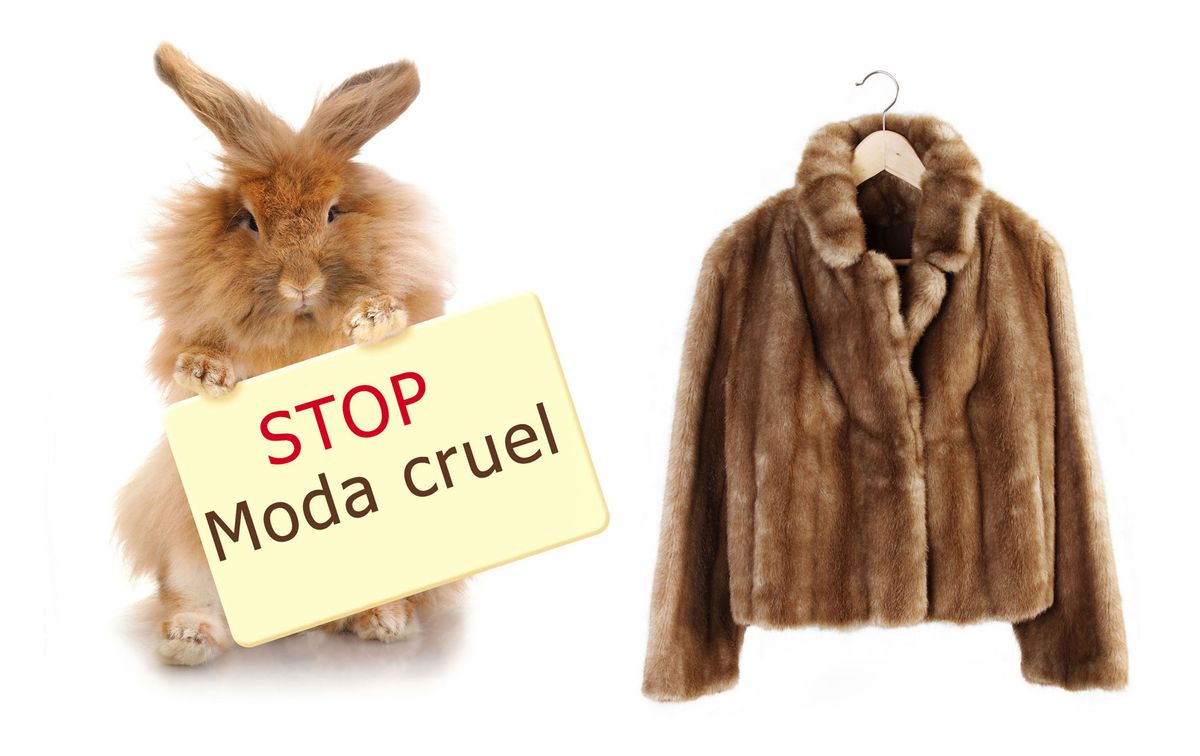 stop ropa cruel animal