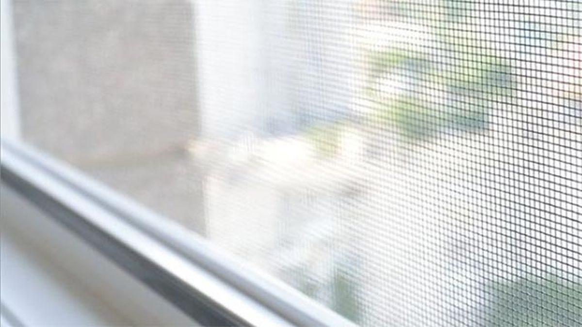 7 razones pedir hoy mosquiteras cortinadecor