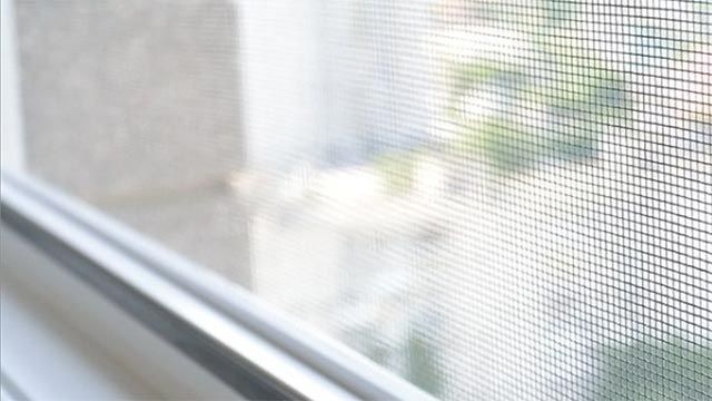 7 razones pedir hoy mosquiteras cortinadecor