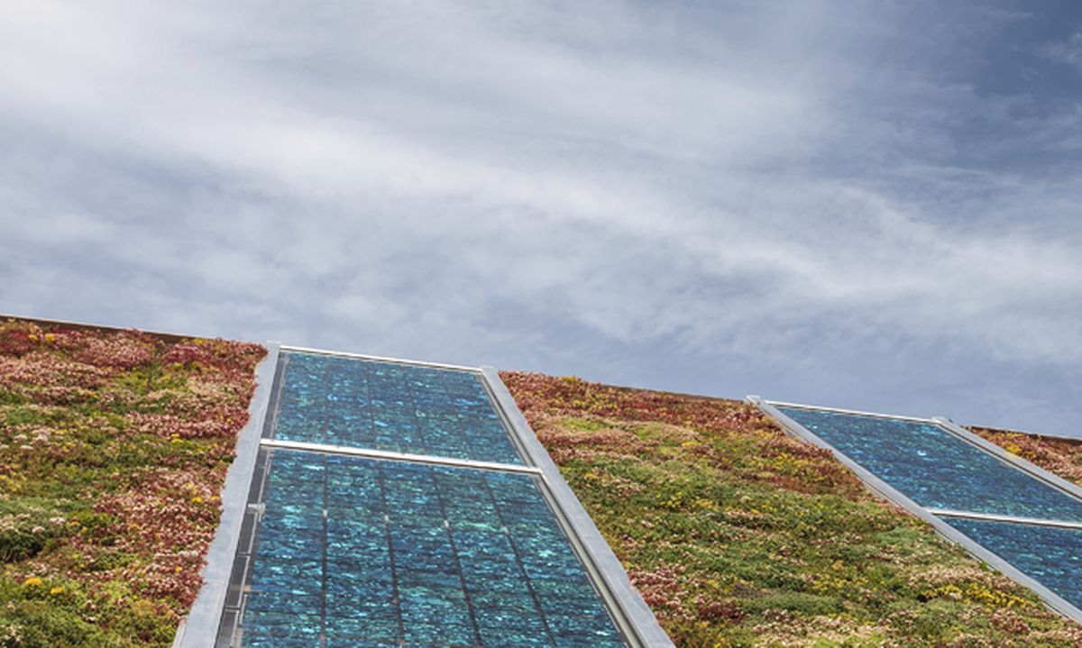 Cubiertas verdes o ecológicas