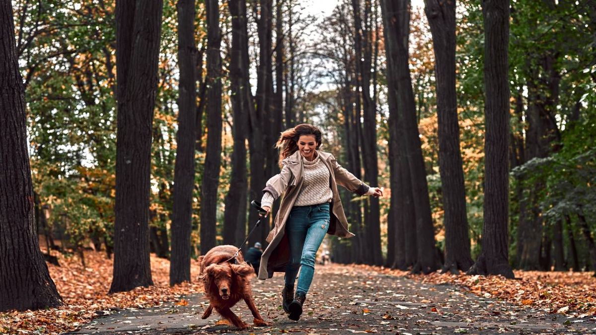 nombres para perros mas populares 2022