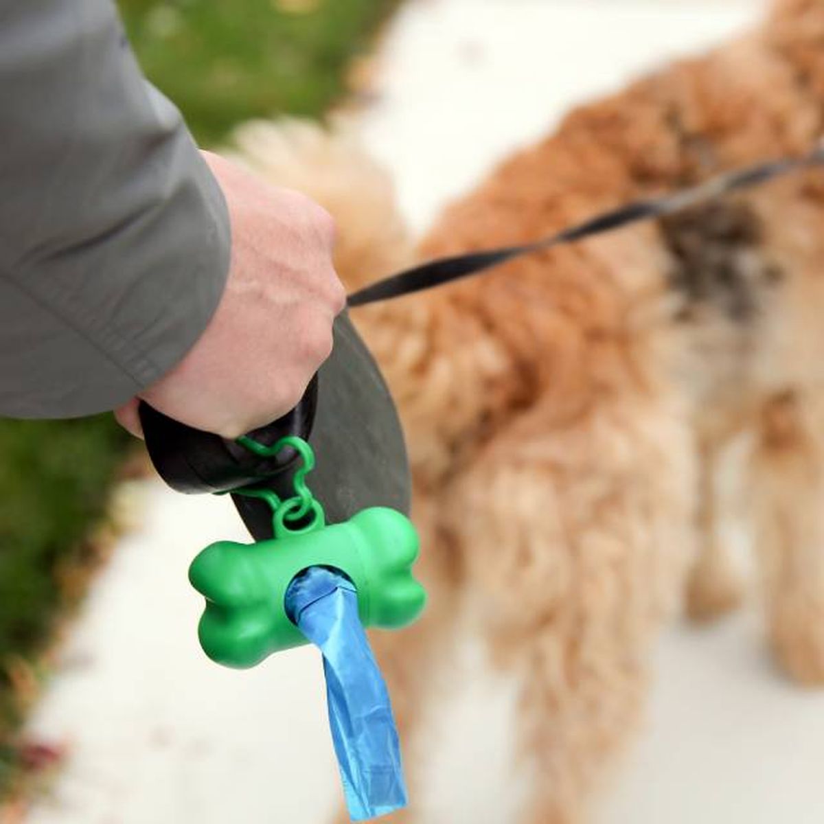 productos para perros mas vendidos amazon bolsas excrementos