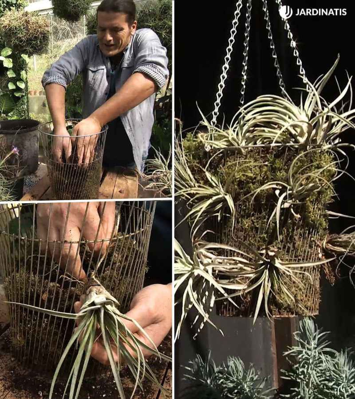 El musgo ayuda a retener la humedad