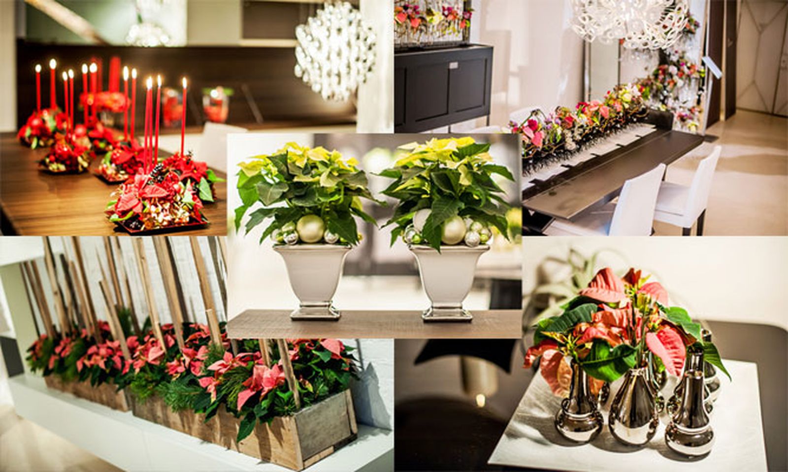 estilos decoracion navidad flor pascua