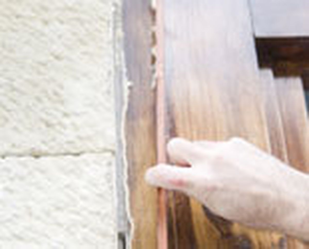 554 reves rust facha p11