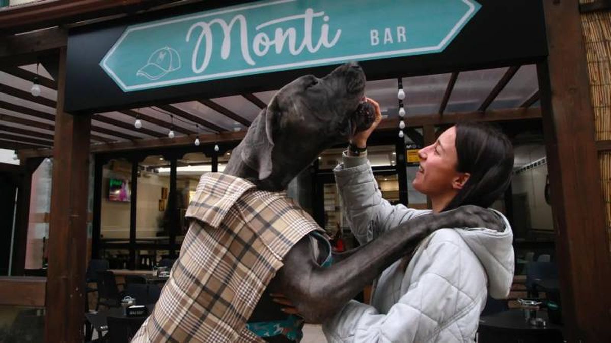 Monti Bar cuenta con un menú diseñado para perros y humanos.