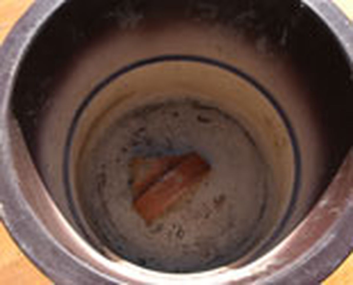 326 plant rosa macet p04