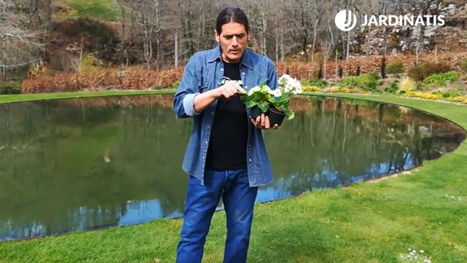 inigo segurola escoge flor de san jose planta del mes de marzo