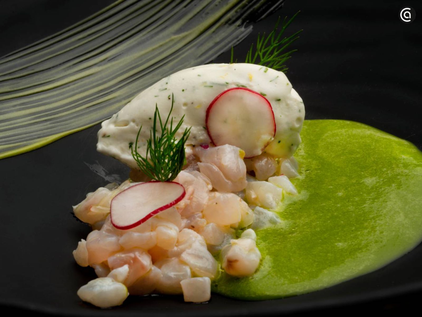 Salmonete curado en Alcaravea, Chantilly de Eneldo y caldo de pepino y eneldo