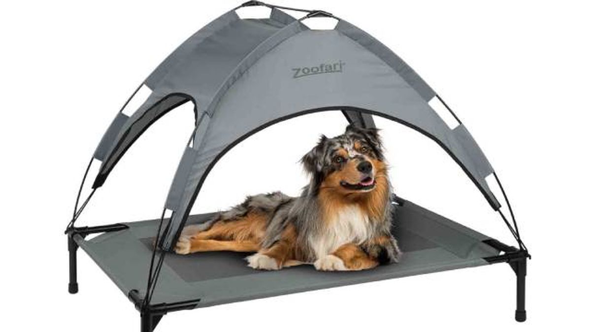 cama de perro para exteriores elevada con parasol zoofari lidl mascotas