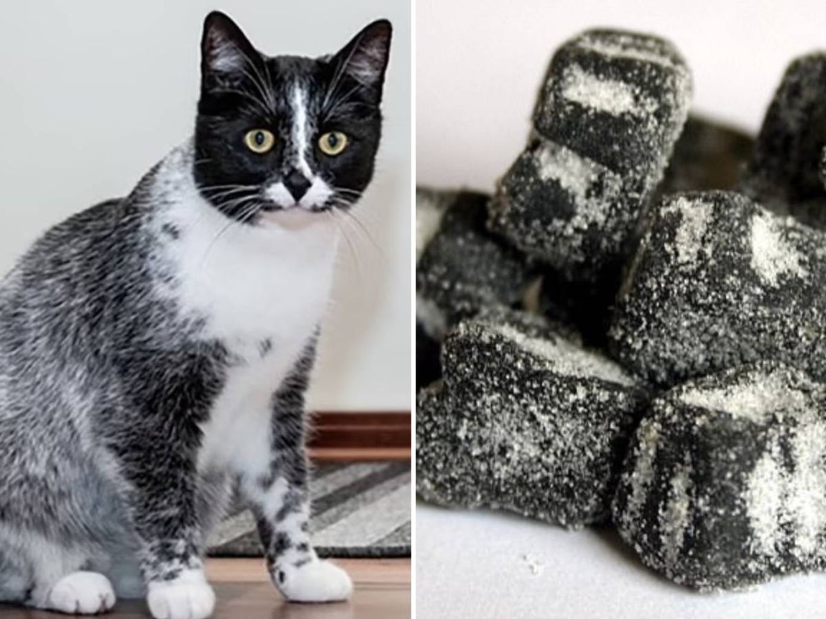 El nombre salmiak proviene del famoso regaliz salado finlandés.