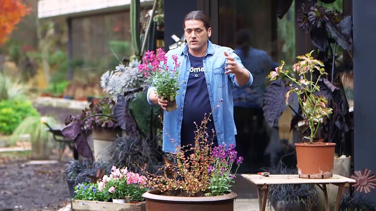 974 jardineria composicion alelis