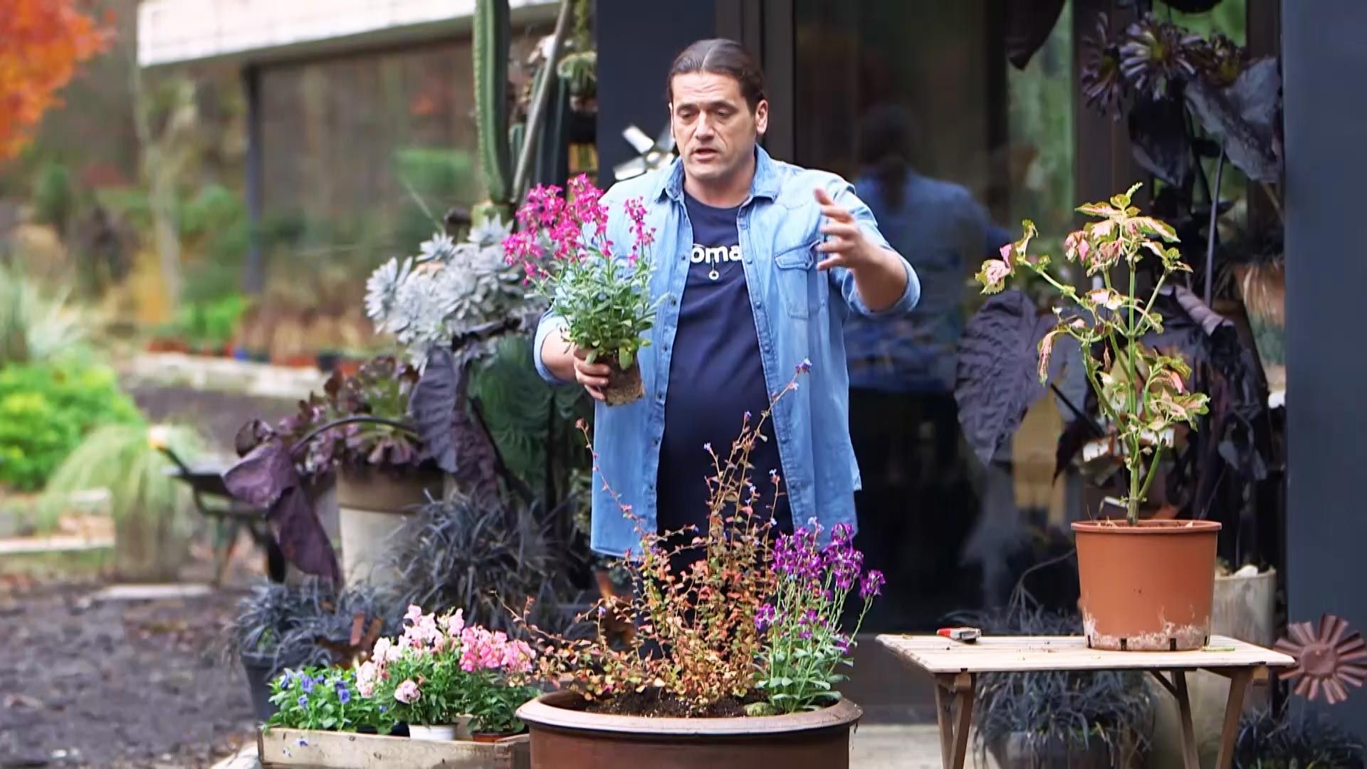 974 jardineria composicion alelis