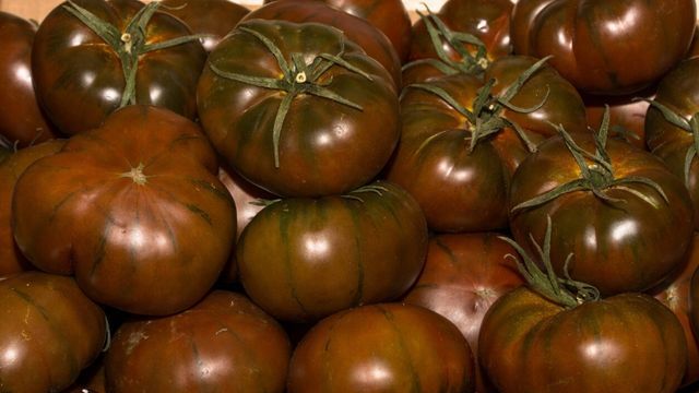 Variedad kumato
