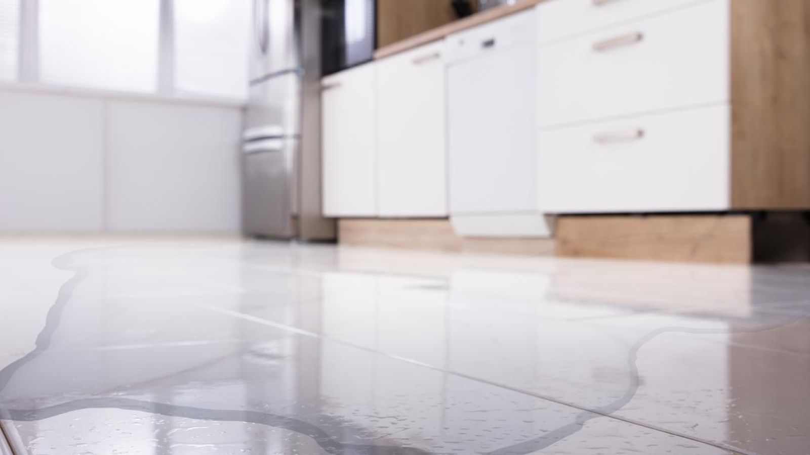 Lavavajillas pierde agua por debajo