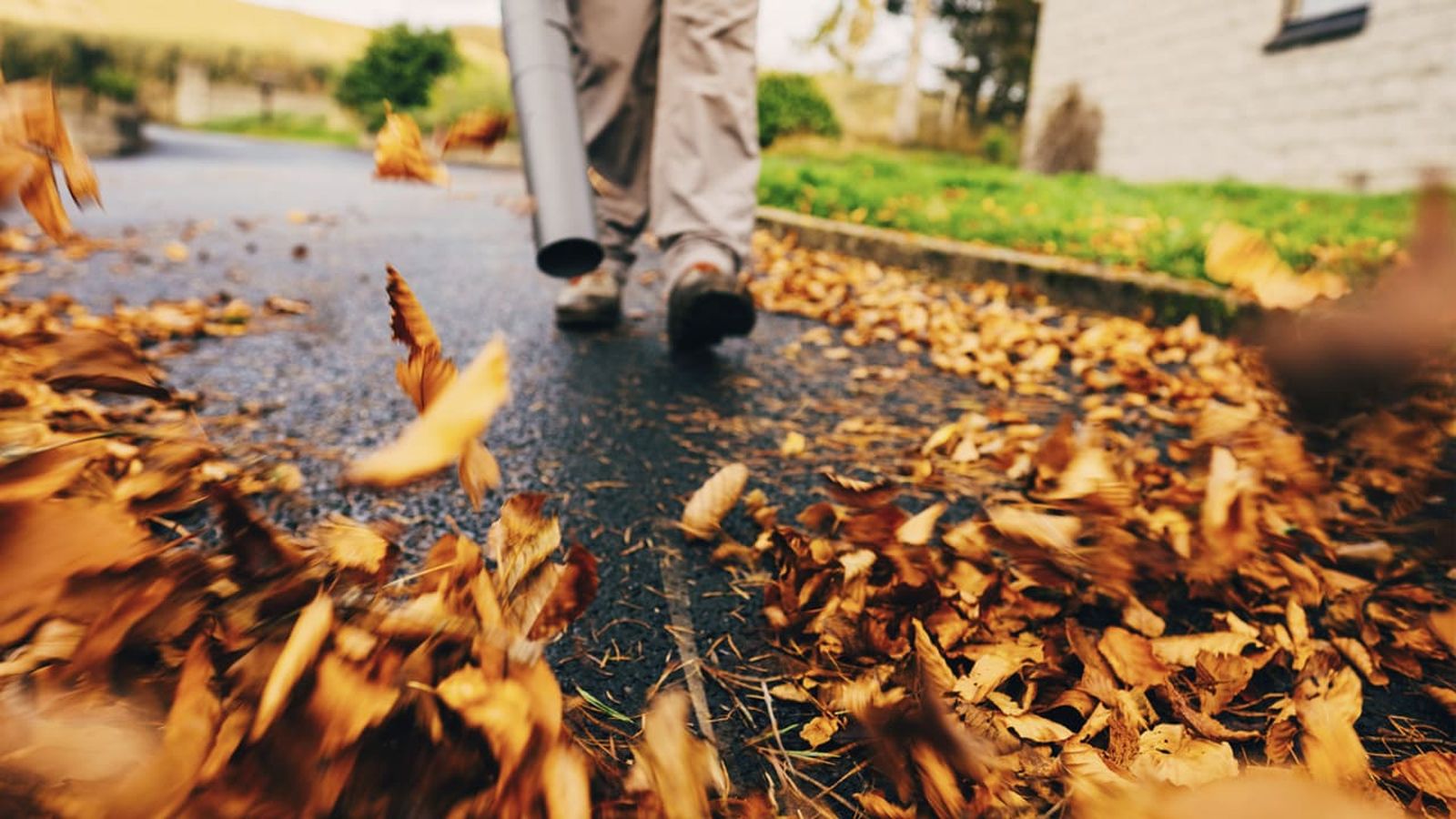 sopladores de hojas xl