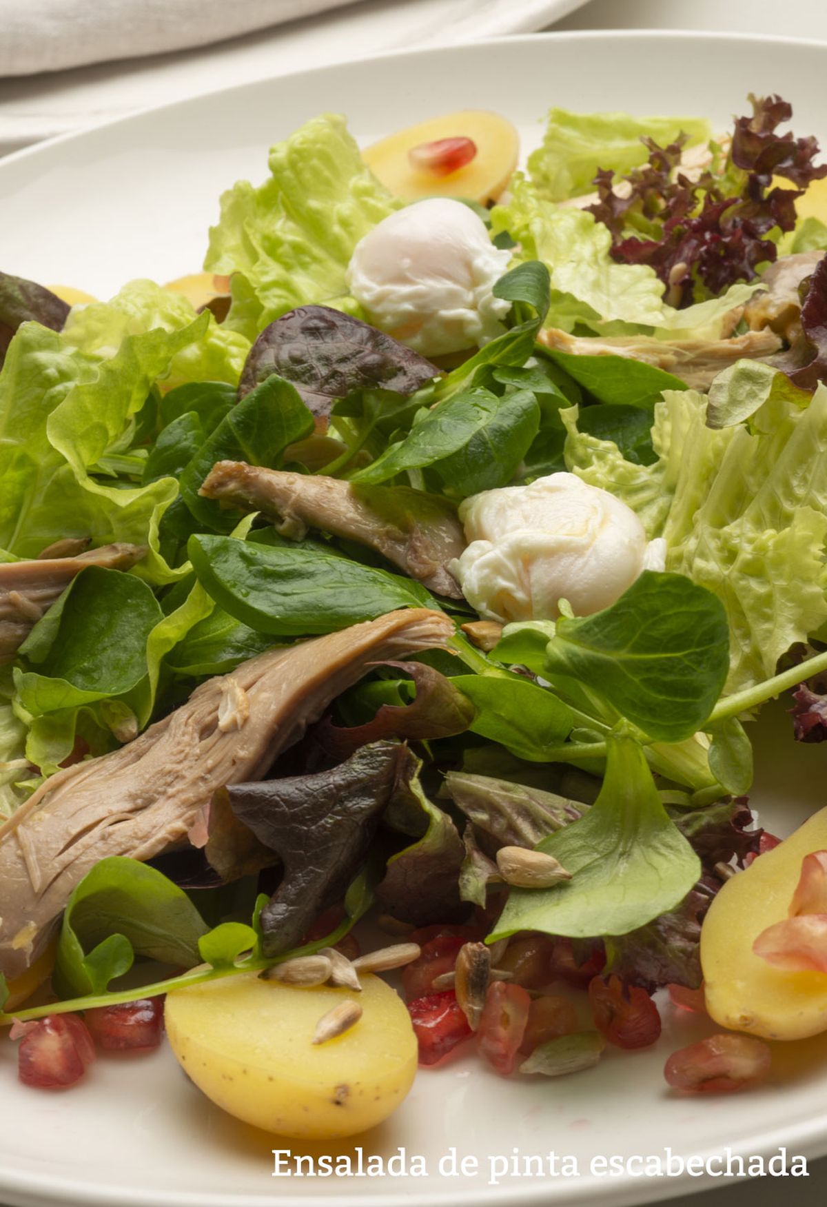 ensalada pinta vertical