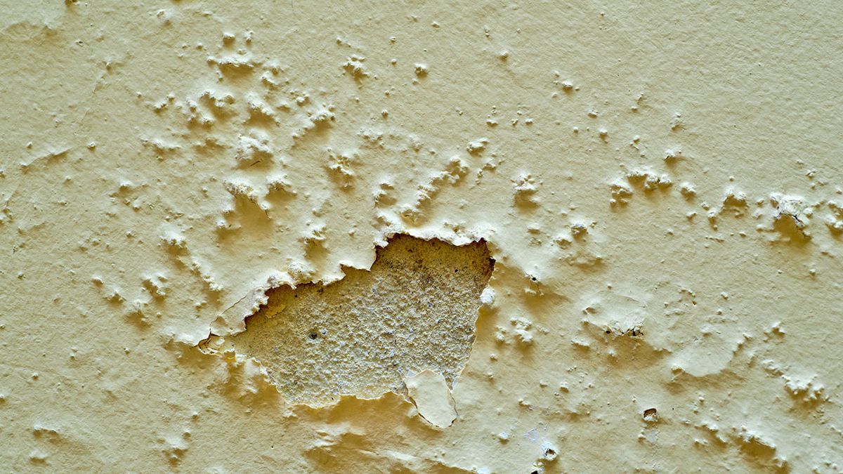 CBRI0025HU09_Identificar los tipos de humedades