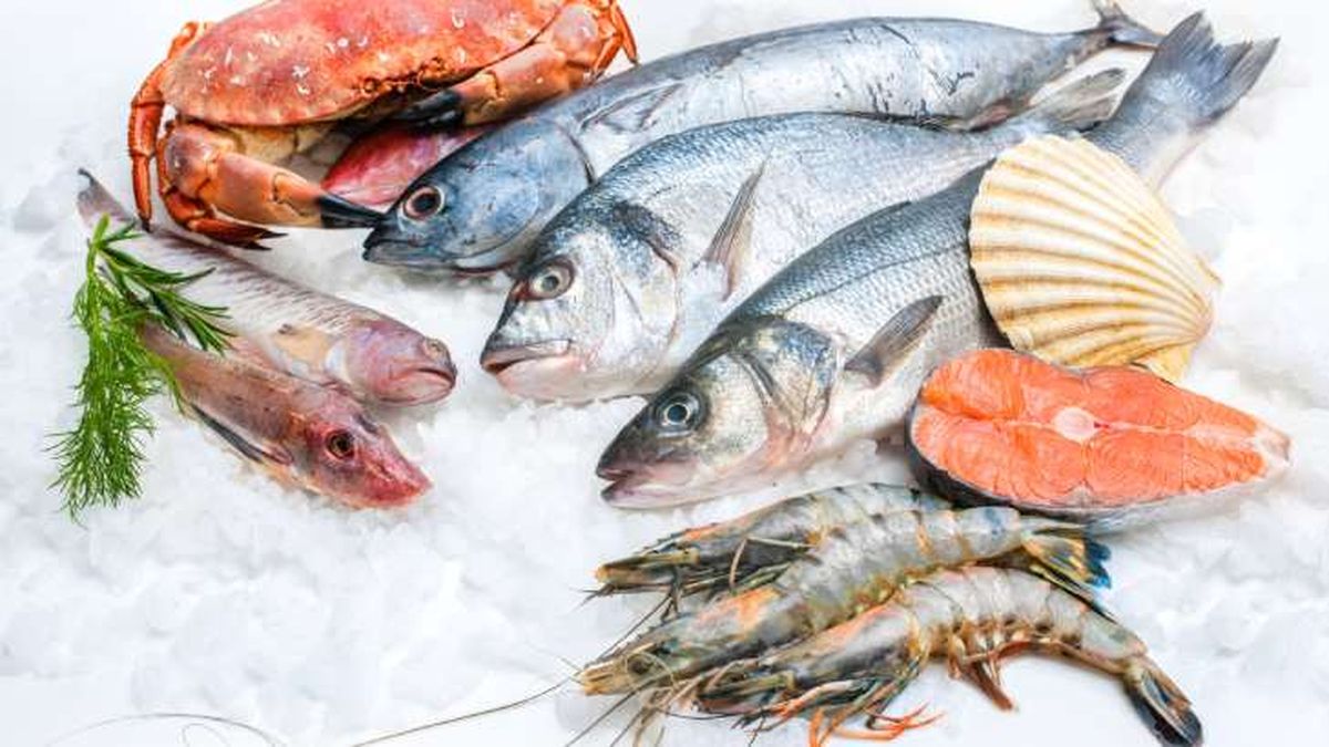 como congelar pescados mariscos para ahorrar en navidad