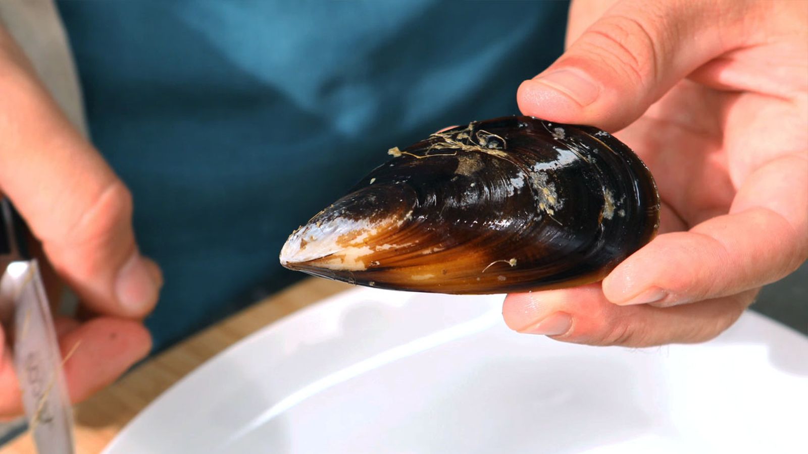 Cómo limpiar mejillones