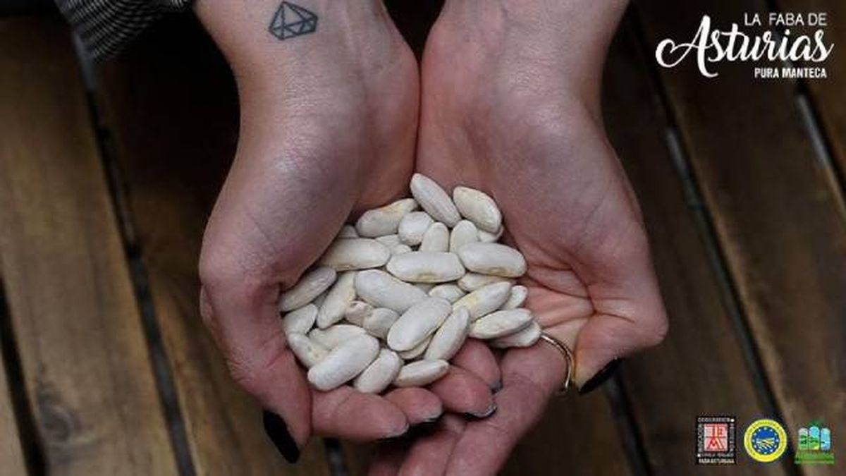 fabas producto local asturias