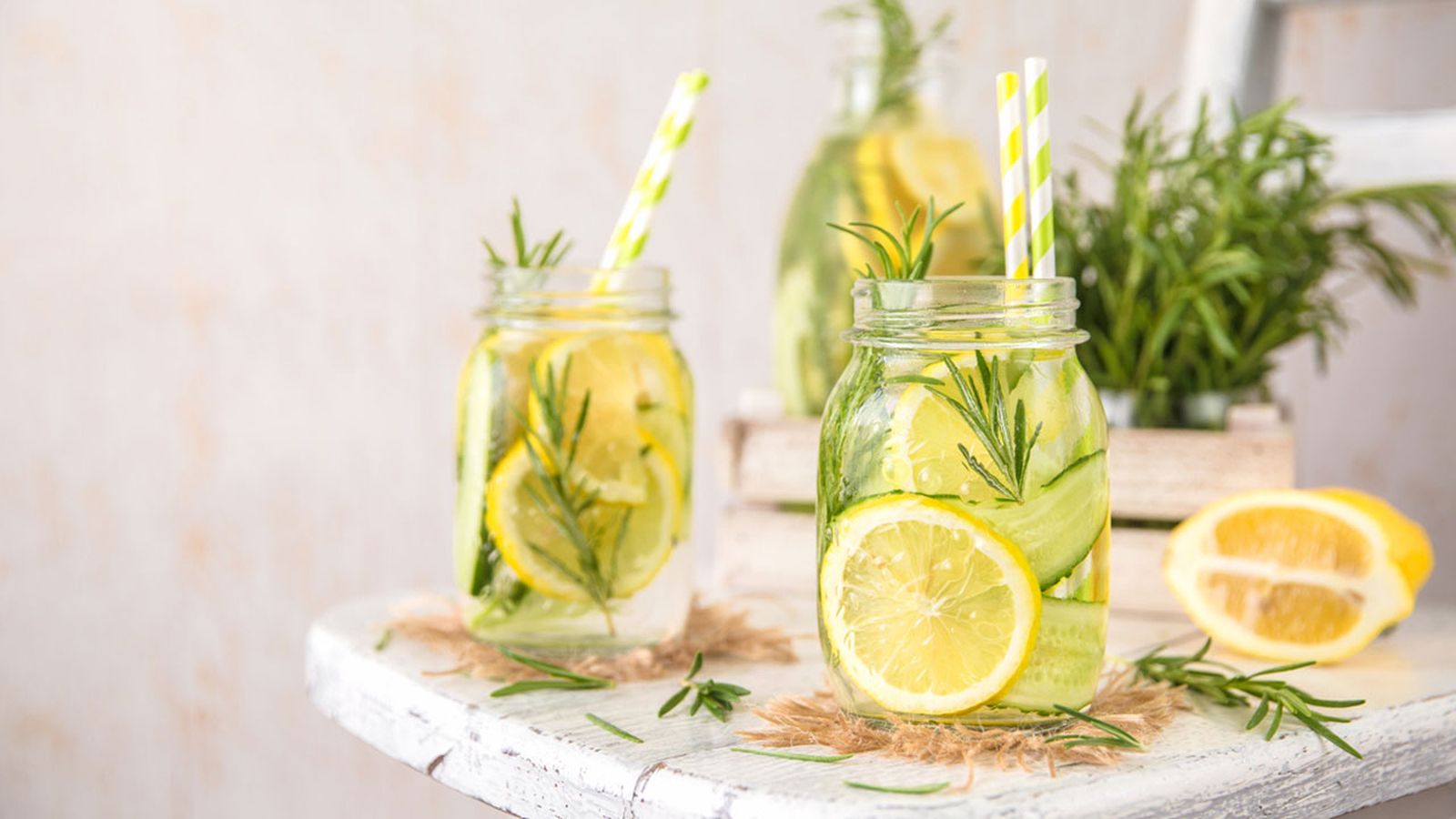 6 bebidas naturales sin cafeina xl