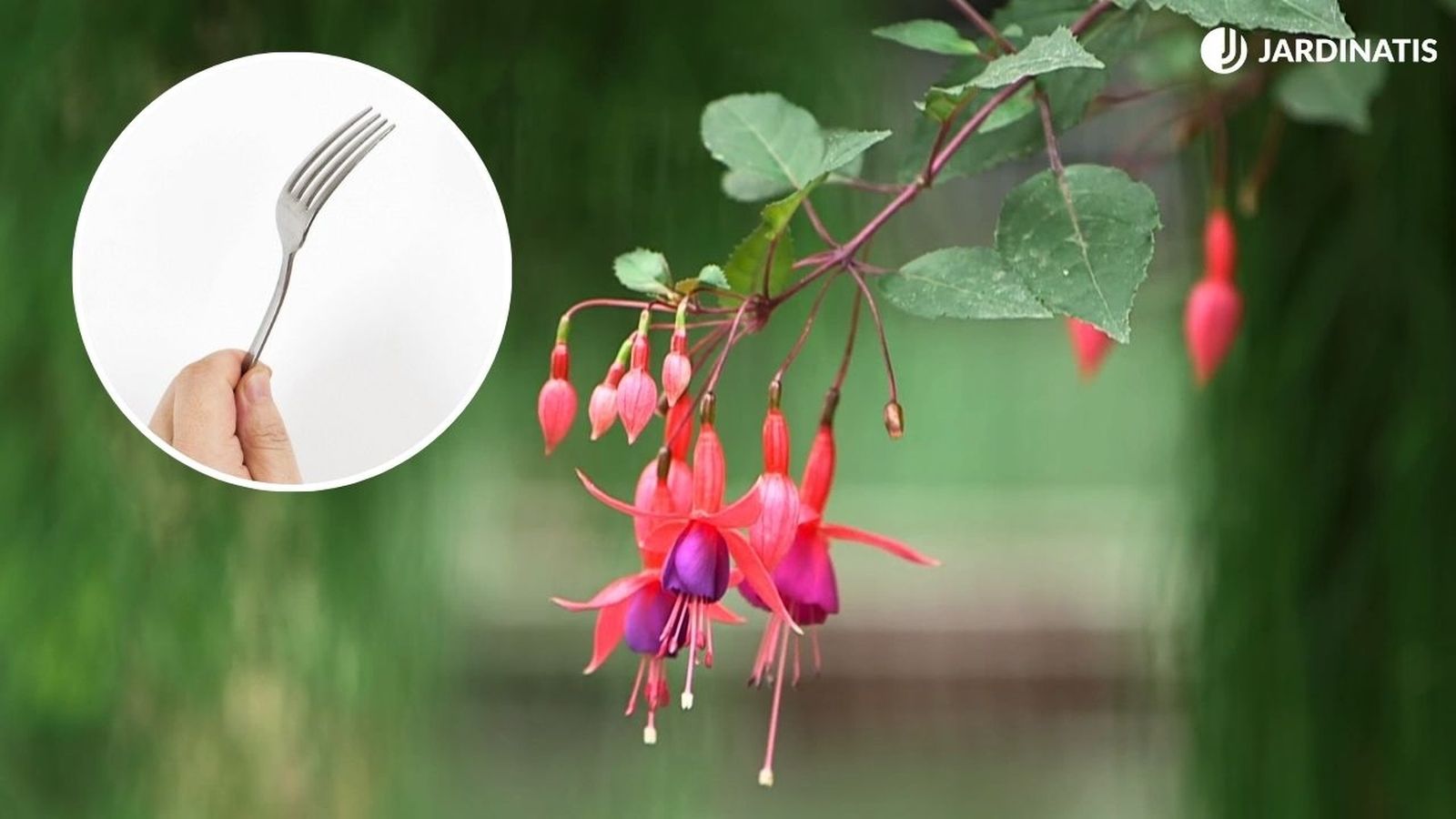 Un tenedor es la solución al problema