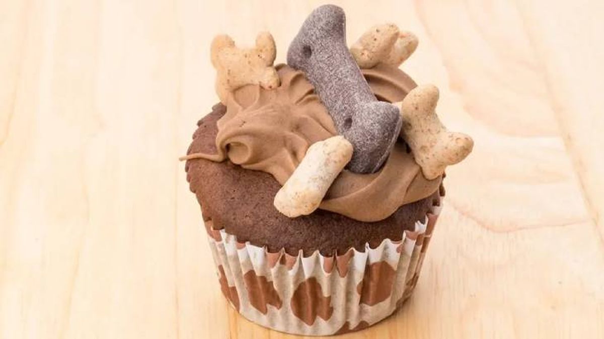 tartas para perros 2 (1)