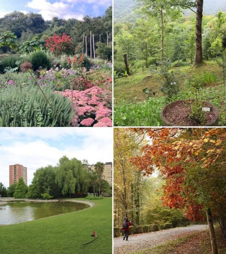 lur garden jardin botanico de iturraran jardin botanico ramon rubial de barakaldo jardin de bertiz otono