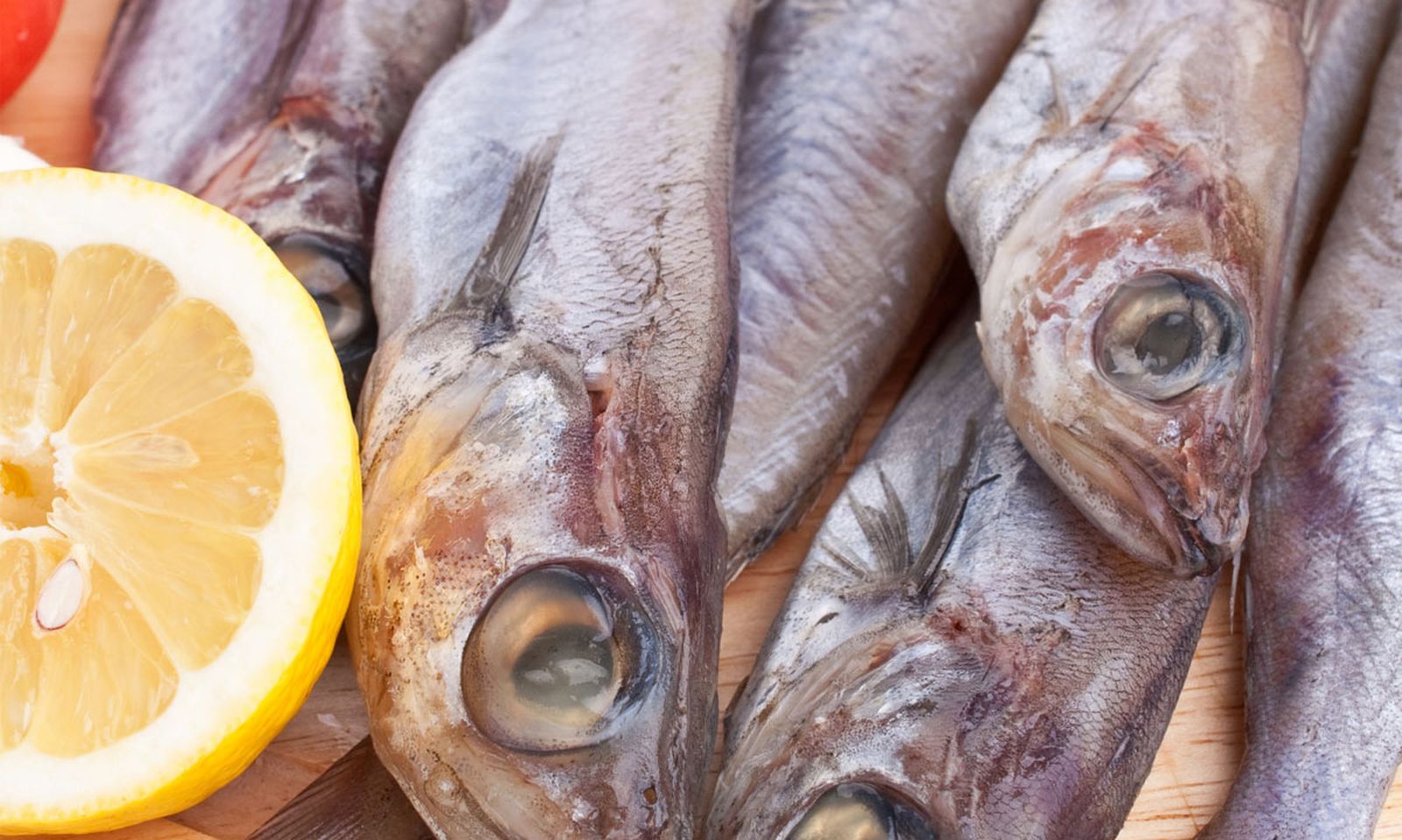 bacaladilla lirio consejo compra xl