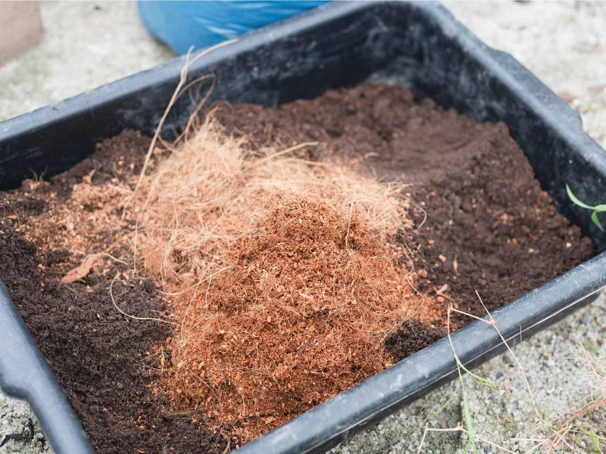 Mezcla la fibra de coco con compost o humus de lombriz.