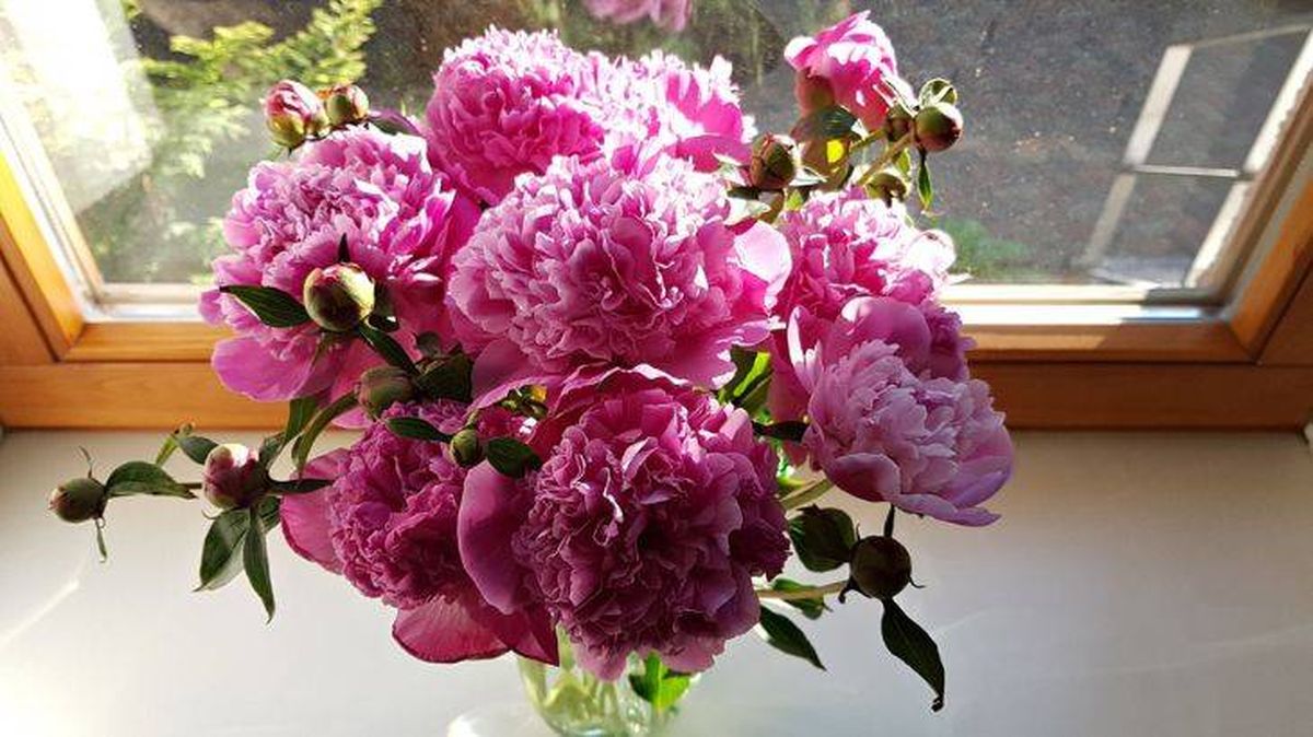 arreglo floral peonias en el hogar