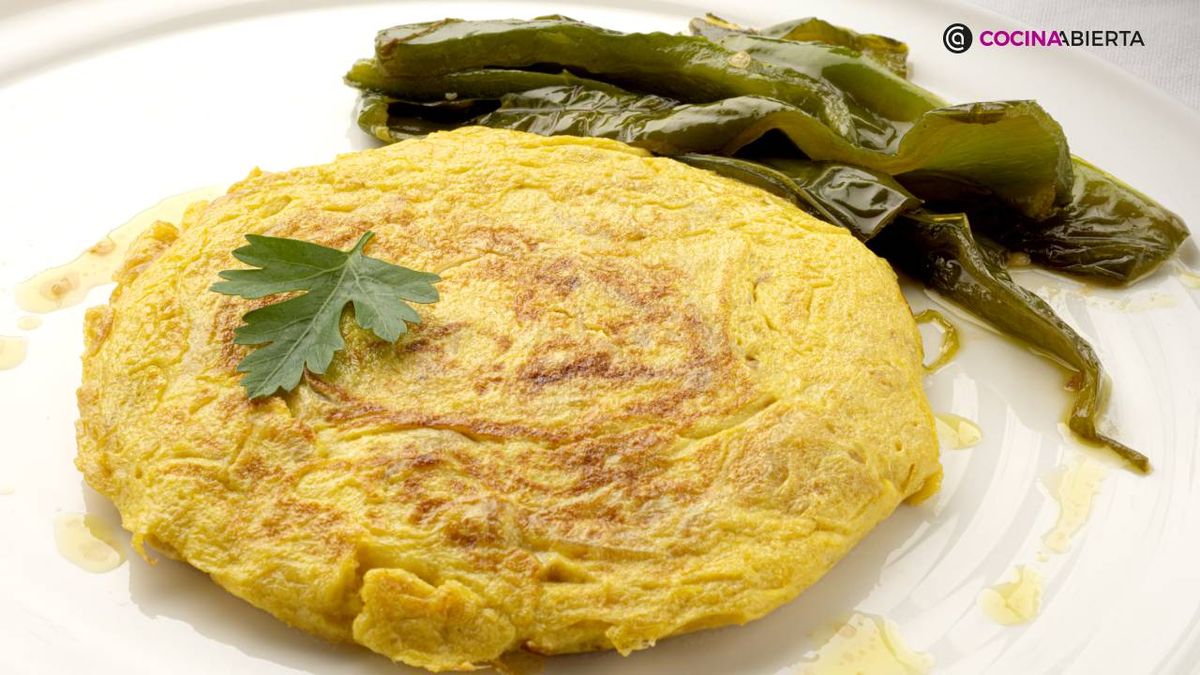 karl7075 tortilla cebolla xl